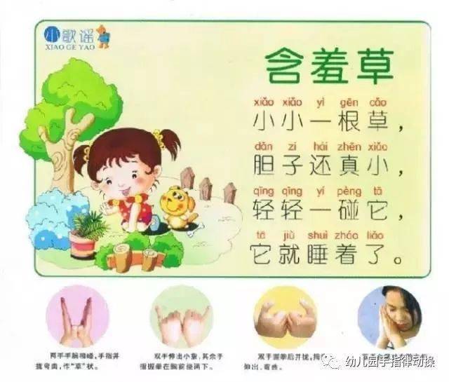 幼儿小班手指律动课程，探索成长之旅的25日精彩瞬间