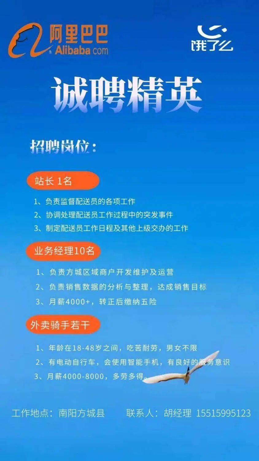 伊川地区最新招聘信息概览本月更新版