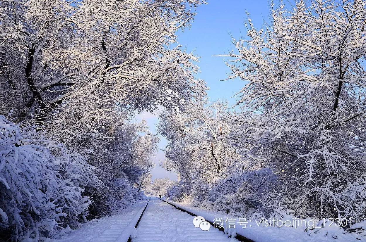 探索大城雪乃的独特魅力，今年最新时尚雪景指南