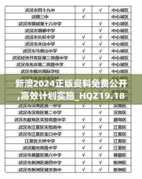 新澳2024正版资料免费公开,高效计划实施_HQZ19.18